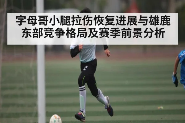 字母哥小腿拉伤恢复进展与雄鹿东部竞争格局及赛季前景分析